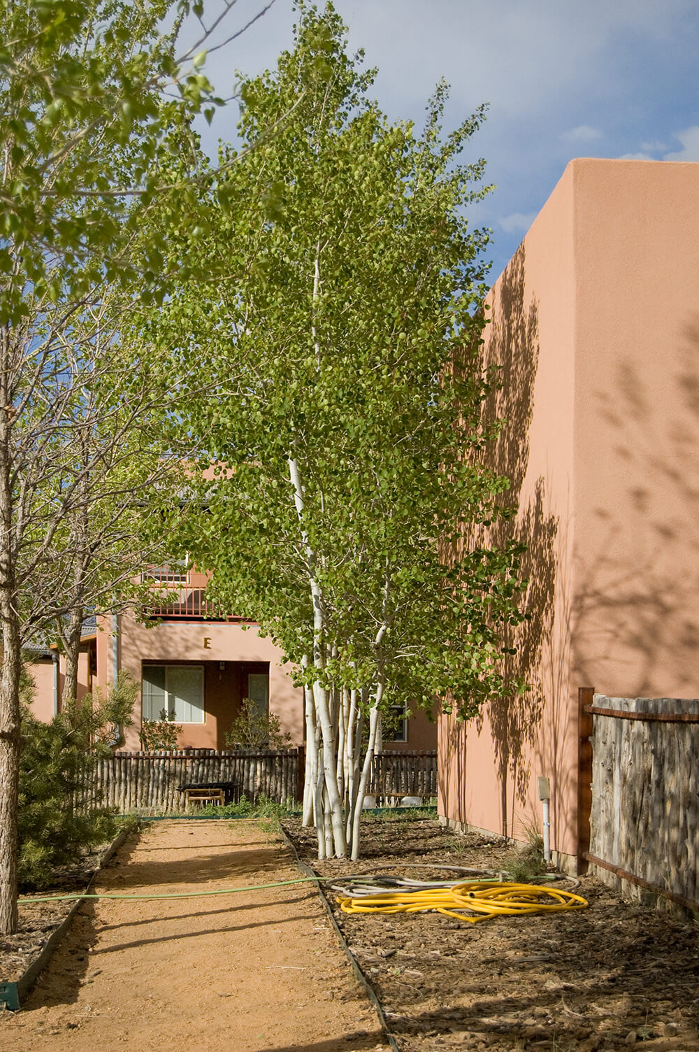 Courtyard path beside young aspens between adobe-style buildings at Loma Parda in Taos, New Mexico